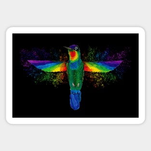 Watercolor Rainbow Hummingbird Sticker